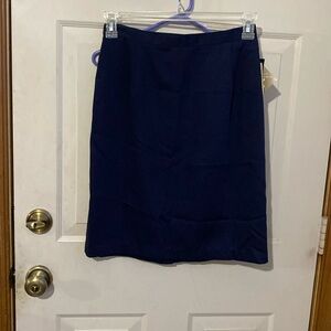 Briggs New York Skirt Size 10 NWT